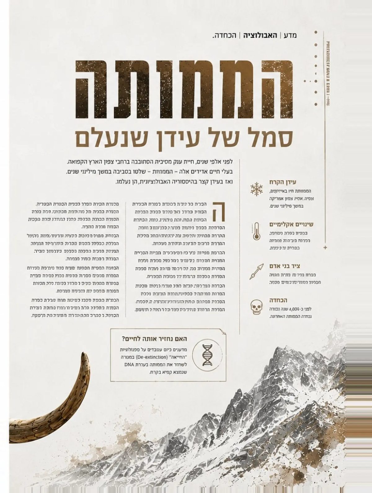כתבת הממותה — מגזין peech